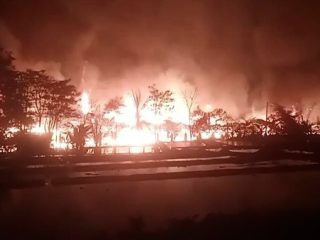 Kebakaran Landa Peternakan di Bogor, Ribuan Anak Ayam dan Belasan Domba Mati
