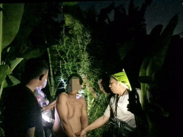 Nekad Jadi Petani Ganja dan Edarkan Hasilnya, Pria Paruh Baya di Tanjungmorawa Dibekuk Polisi 