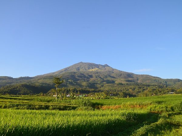PVMBG Buka Suara Soal Kabar Gunung Lawu Bakal Erupsi Besar