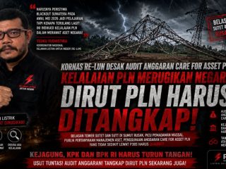 12 Tower SUTET dan SUTT di Sumut Rusak Hingga Picu Pemadaman, Audit Anggaran Manajemen Care 4 Asset PLN!