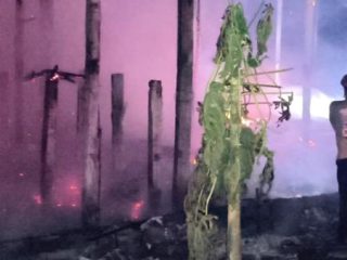 3.100 Ayam Mati Terpanggang saat Kebakaran Kandang di Kedungwaru Tulungagung