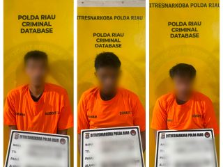 Ditresnarkoba Polda Riau Ringkus 3 Pemilik 7 Kg Sabu yang Dikubur di Tanah dan Kebun Sawit 