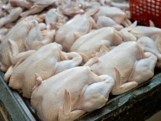 Harga Ayam Mahal, Mendag Buka Suara