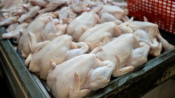 Harga Ayam Mahal, Mendag Buka Suara