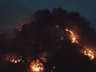 Kebakaran Landa Gunung Picung Cianjur