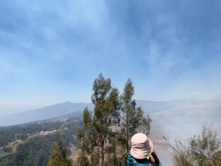 Kebakaran Meluas hingga ke Bukit Kedasih, Bromo Sky Bridge Ditutup