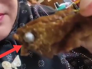SPPG di Lampung Utara Disuspend Gegara Ada Benda Diduga Peluru di Daging Menu MBG Siswa