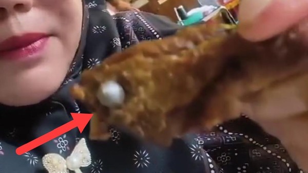 SPPG di Lampung Utara Disuspend Gegara Ada Benda Diduga Peluru di Daging Menu MBG Siswa