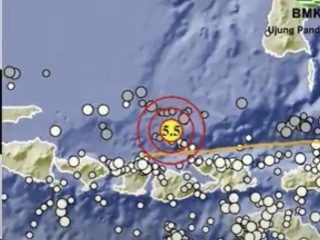 Gempa M 5,5 Guncang Pulau Saringi NTB, BMKG: Tak Berpotensi Tsunami
