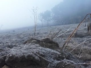 Terus Meluas, Kebakaran Gunung Bromo Mencapai 120 Hektar