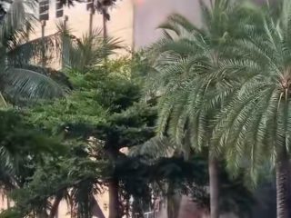 Hotel Pullman Central Park di Jakbar Diamuk Si Jago Merah