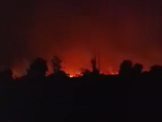 Taman Nasional Way Kambas Kembali Terbakar