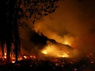Bromo Membara! Sudah 921,42 Hektare Terbakar, Kabut Ganggu Upaya Water Bombing 
