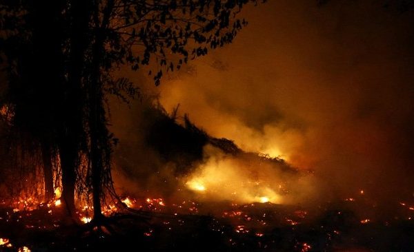 Bromo Membara! Sudah 921,42 Hektare Terbakar, Kabut Ganggu Upaya Water Bombing 