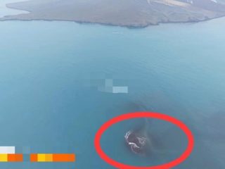 Ada Daratan Baru di Dekat Anak Krakatau, Begini Kata Badan Geologi