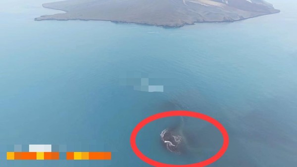 Ada Daratan Baru di Dekat Anak Krakatau, Begini Kata Badan Geologi