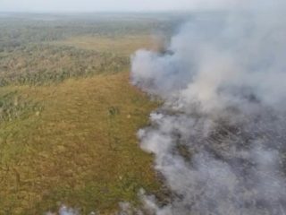 Kebakaran Kembali Terjadi di Taman Nasional Way Kambas