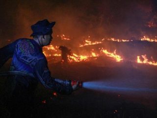 2 Bulan Bertugas, Satgas Pemadaman Karhutla di Palangkaraya Belum Dibayar