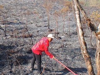 Meluas Lagi, Kebakaran Hutan dan Lahan di Rinjani Capai 977 Hektare