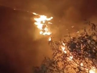 71 Pendaki Dievakuasi Buntut Gunung Sumbing Wonosobo Terbakar