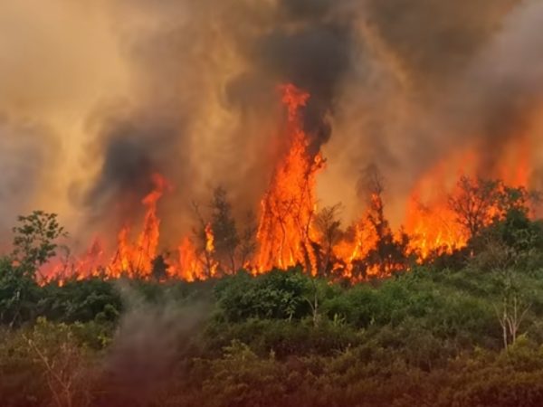 Dampak Kabut Asap, Negeri Johor Malaysia Tutup Sekolah 2 Hari