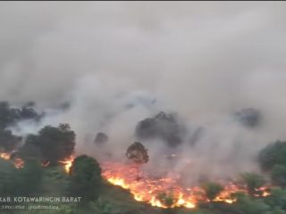 Diprediksi Sampai November, Ada 21.369 Hotspot Penyebab Karhutla di Kobar Kalteng