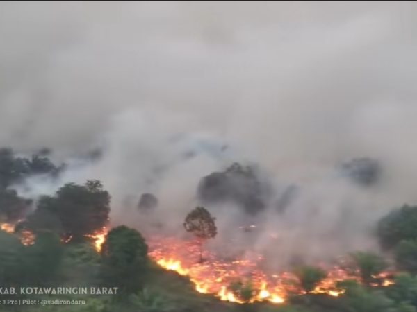 Diprediksi Sampai November, Ada 21.369 Hotspot Penyebab Karhutla di Kobar Kalteng