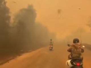Begini Alasan Pemerintah Belum Tetapkan Karhutla Jadi Bencana Nasional