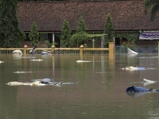 Banyumas Diterjang Banjir dan Tanah Longsor, 3 Sekolah Dasar Terdampak